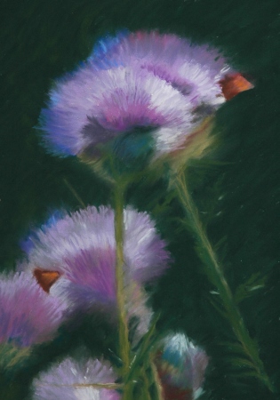 thistles